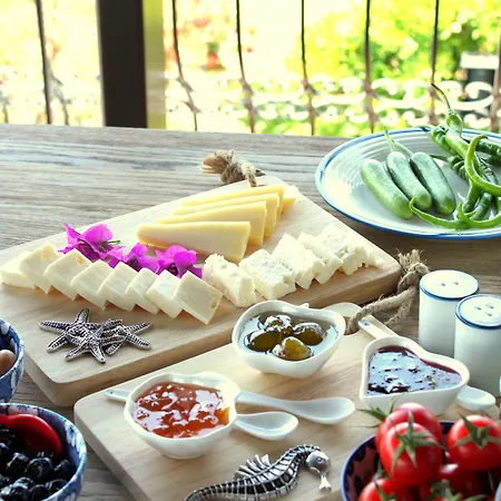 Bed & Breakfast Cosy