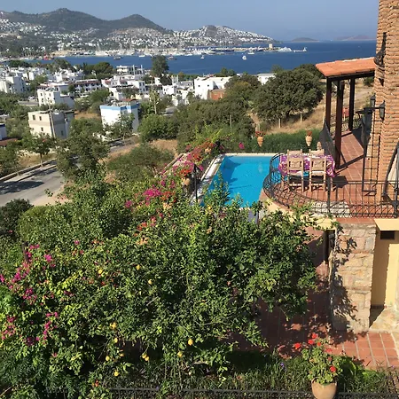 Cosy Bed & Breakfast