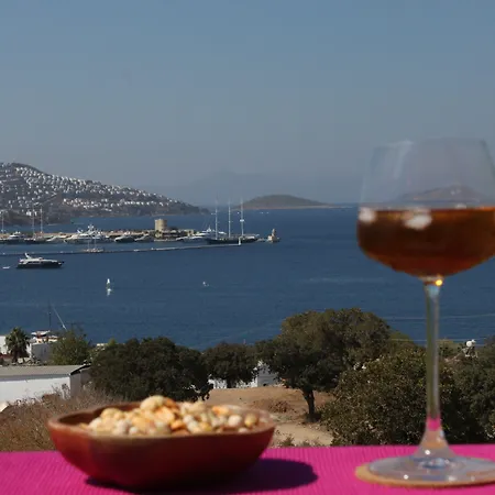 Bed & Breakfast Cosy 3*