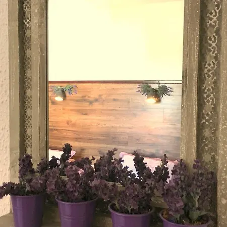 Cosy Bed & Breakfast 3*