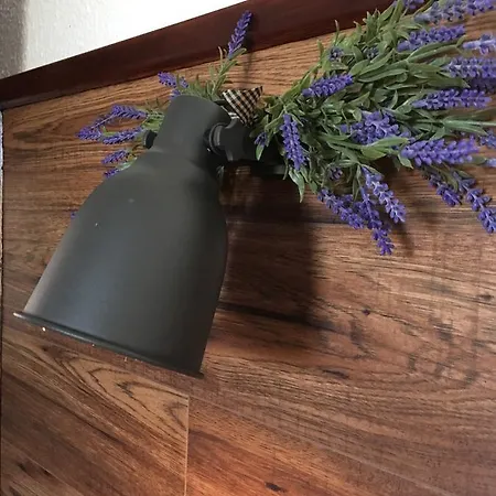 Cosy Bed and breakfast