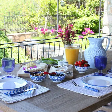 Bed & Breakfast Cosy
