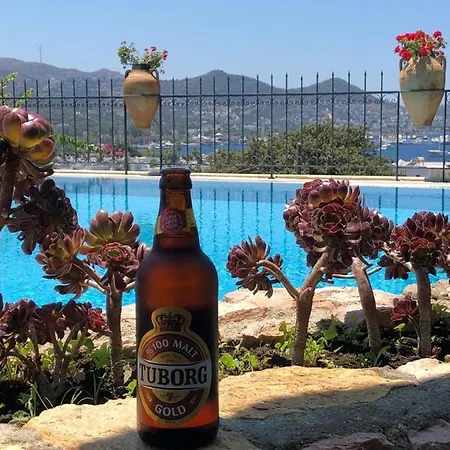 Cosy Bed & Breakfast