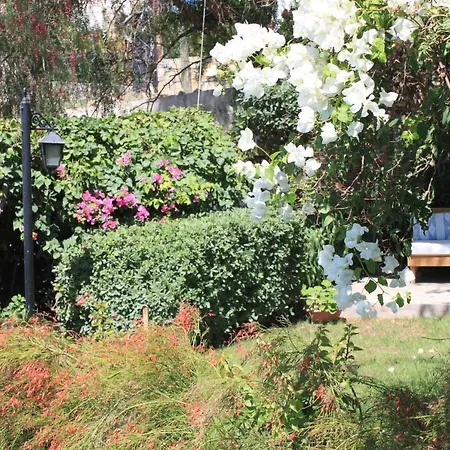 Bed & Breakfast Cosy Yalıkavak