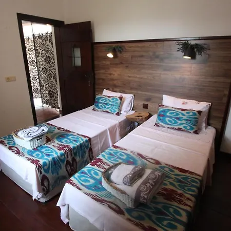 Bed & Breakfast Cosy