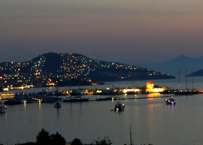 Bed & Breakfast Cosy