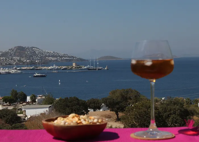 Bed & Breakfast Cosy 3*