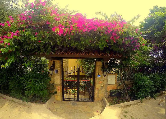 Bed & Breakfast Cosy Yalıkavak