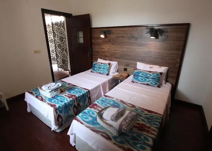 Bed and Breakfast Cosy