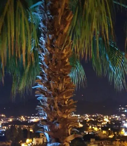 Bed & Breakfast Cosy 3*