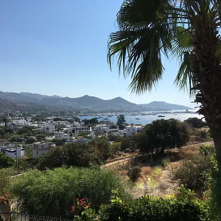 Frühstückspension Cosy Yalıkavak