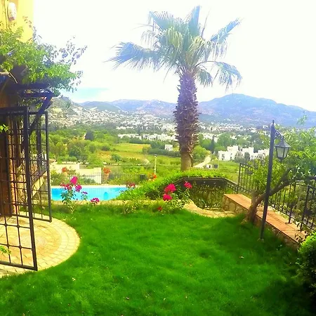 Alojamento de Acomodação e Pequeno-almoço Cosy