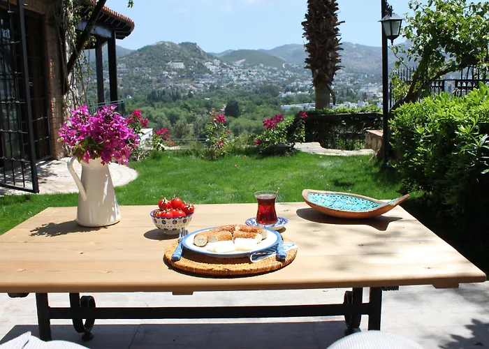 Bed and breakfast Cosy