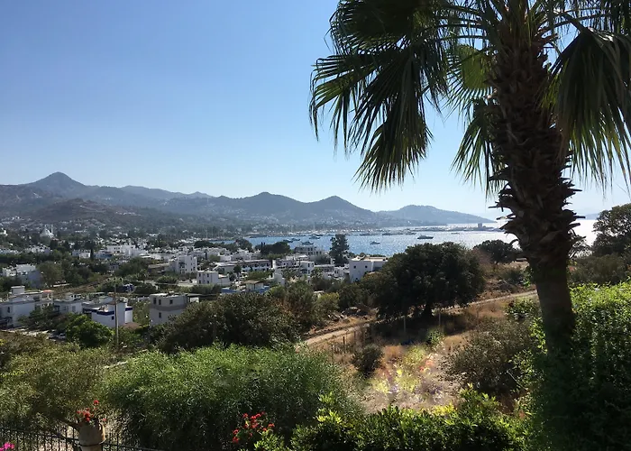 Bed and breakfast Cosy Yalıkavak