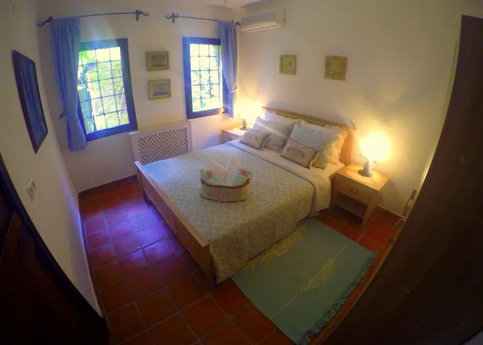 Cosy Bed and breakfast 3*