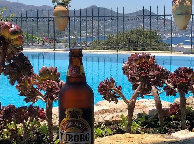 Cosy Bed and breakfast